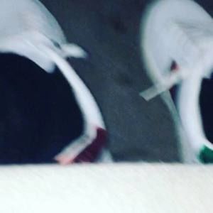 Meet your Posher, Jacob